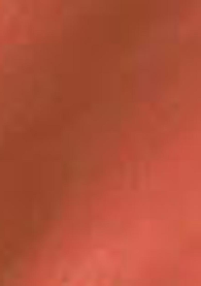 Pink Zari Woven Tissue Silk Saree Set