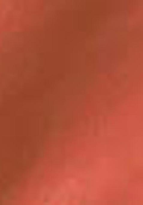 Pink Zari Woven Tissue Silk Saree Set