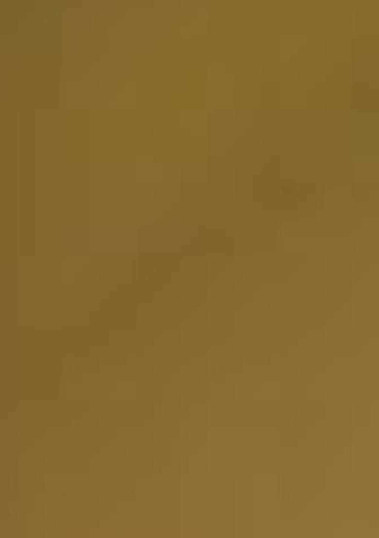 Blue Zari Woven Tissue Silk Saree Set