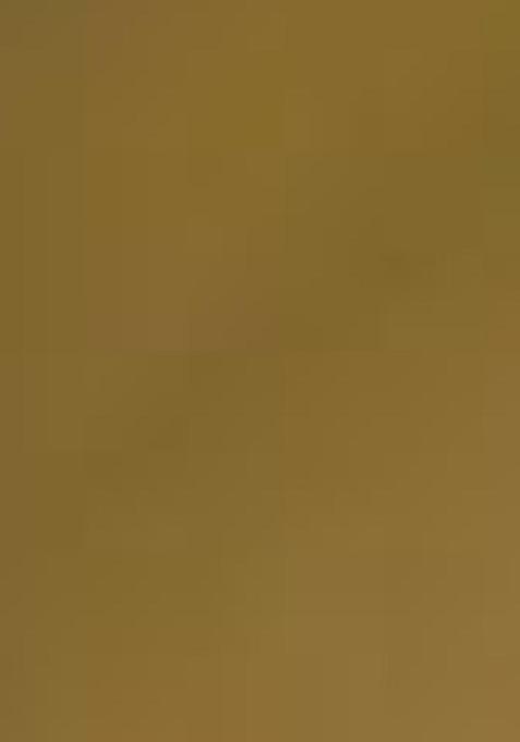 Blue Zari Woven Tissue Silk Saree Set