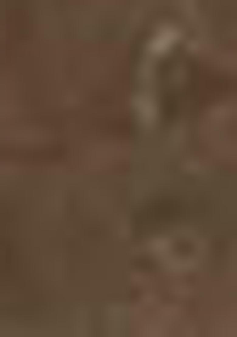 Green Zari Woven Tussar Silk Saree Set