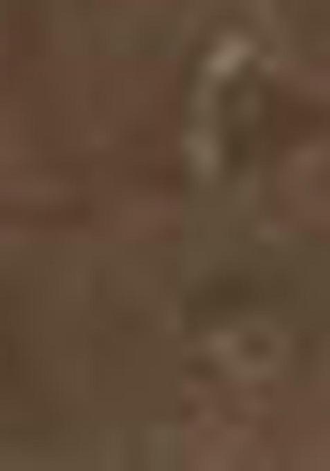 Green Zari Woven Tussar Silk Saree Set