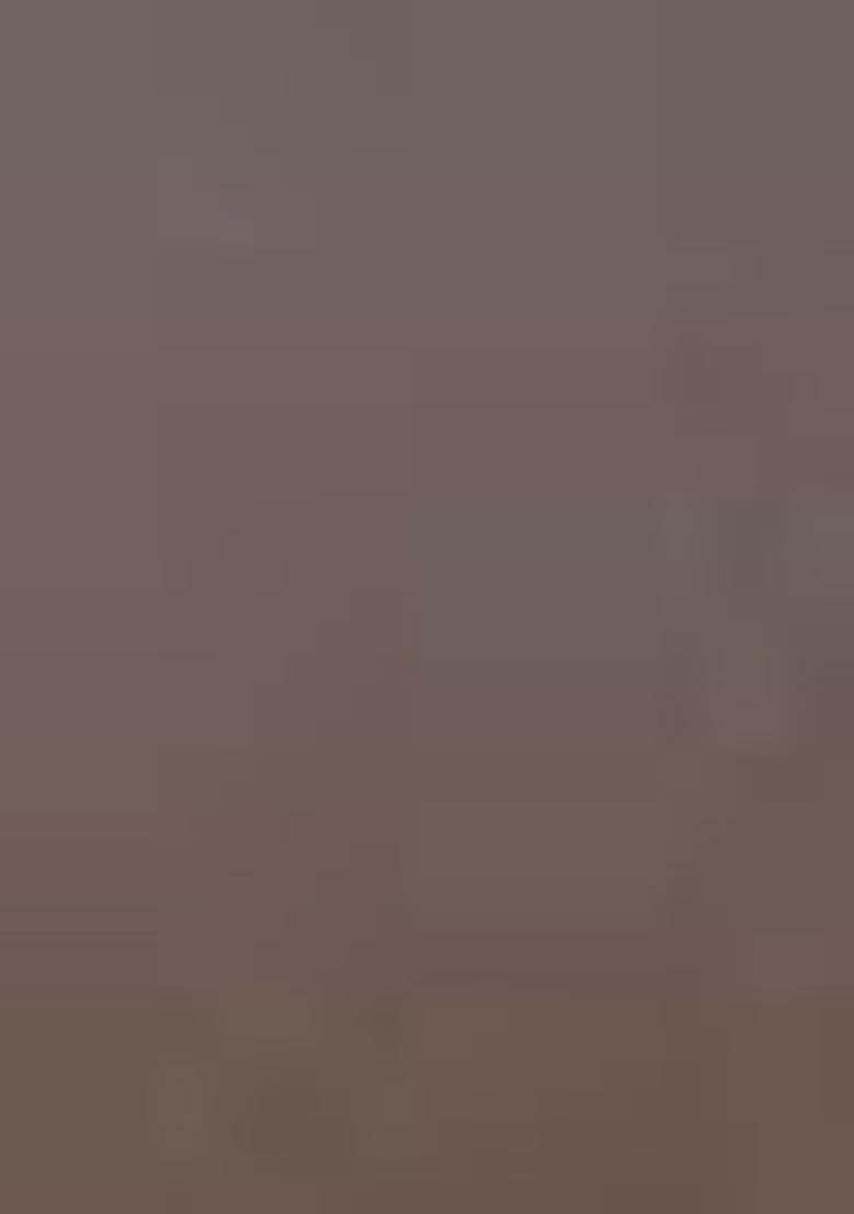 Brown Zari Woven Tussar Silk Saree Set