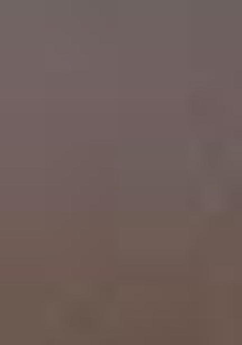 Brown Zari Woven Tussar Silk Saree Set