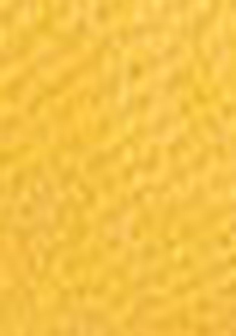 Yellow Zari Woven Cotton Saree Set