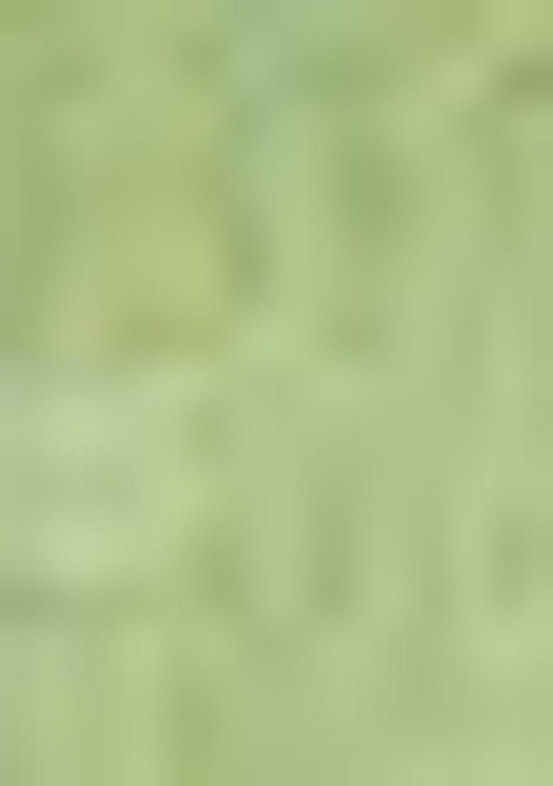 Pista Green Zari Woven Cotton Saree Set