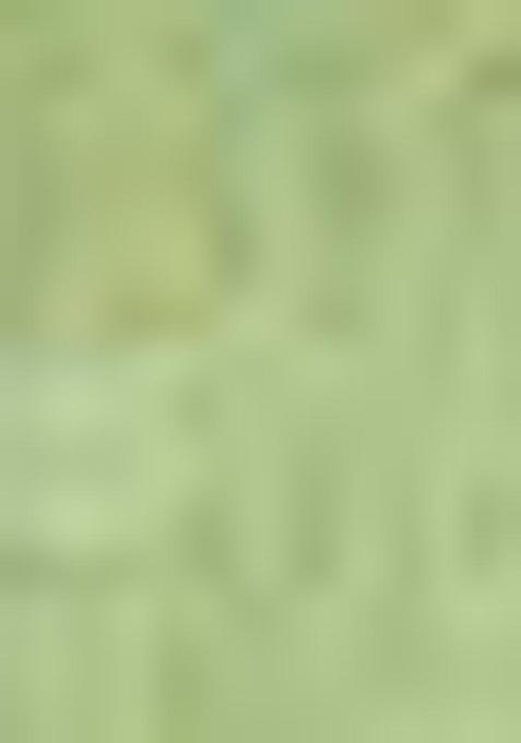 Pista Green Zari Woven Cotton Saree Set