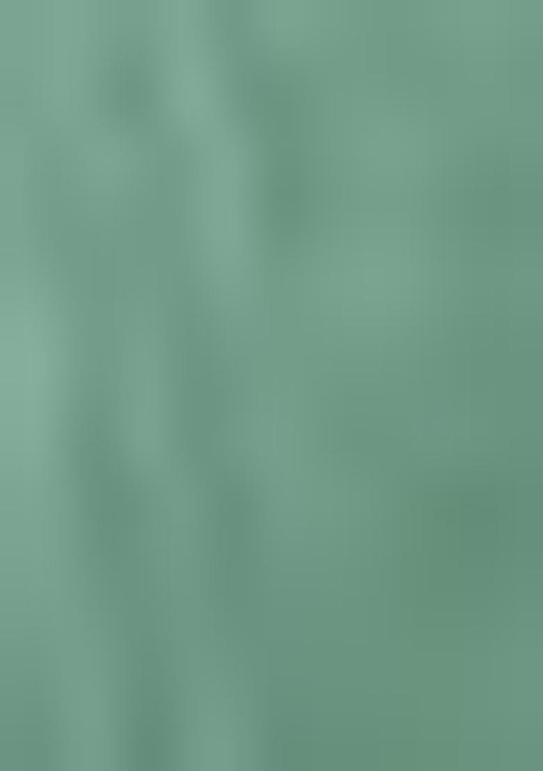 Sea Green Sequin Thread Embroidered Twill Net Saree Set