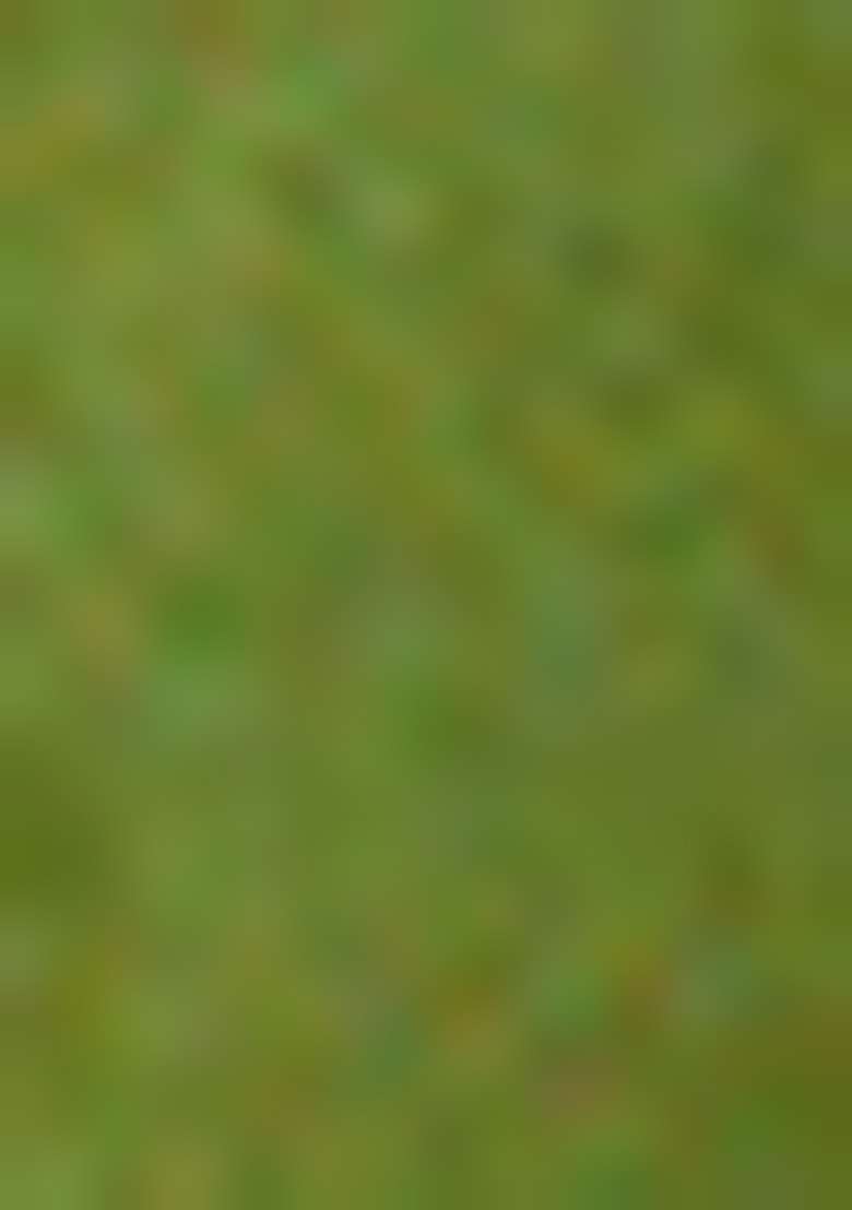Green Zari Woven Banarasi Silk Saree Set - Indya