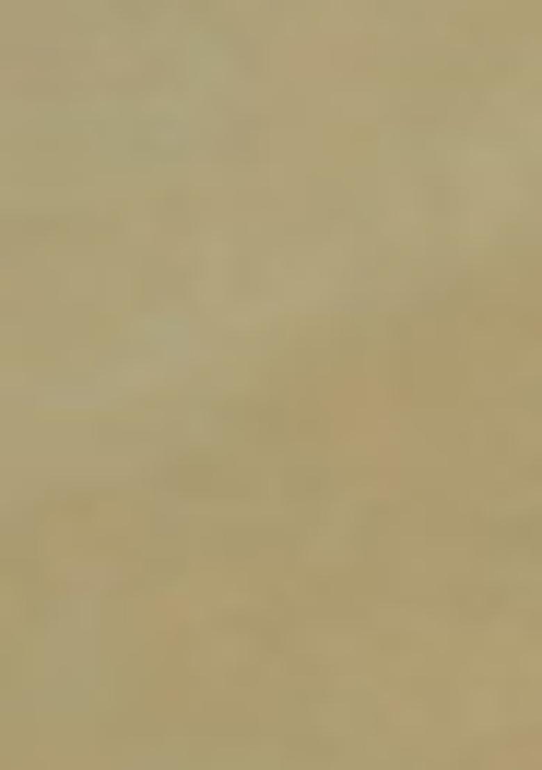 Yellow Zari Thread Embroidered Organza Saree Set