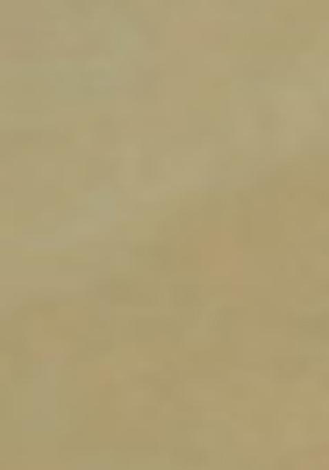 Yellow Zari Thread Embroidered Organza Saree Set