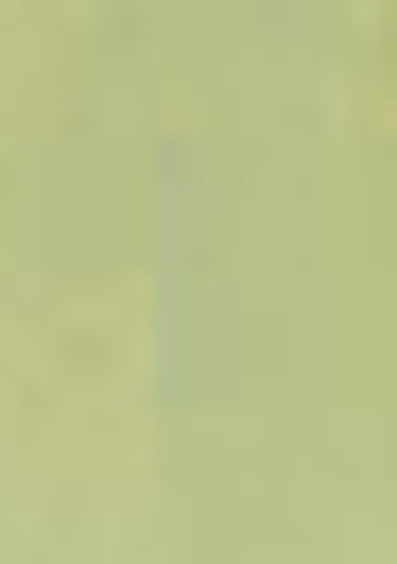 Pista Green Zari Thread Embroidered Organza Saree Set