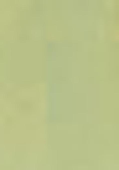 Pista Green Zari Thread Embroidered Organza Saree Set