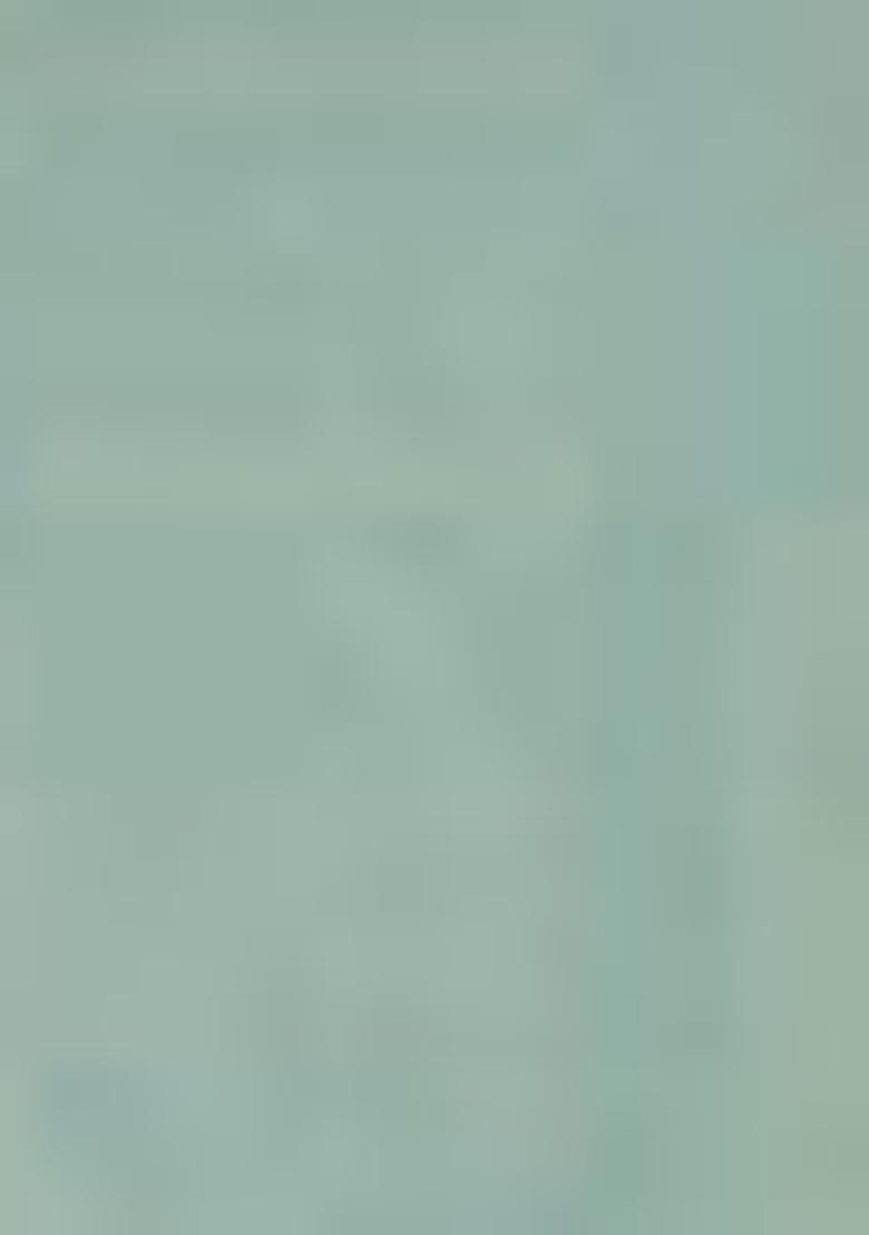 Grey Zari Thread Embroidered Organza Saree Set