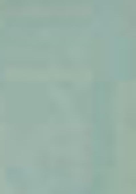 Grey Zari Thread Embroidered Organza Saree Set