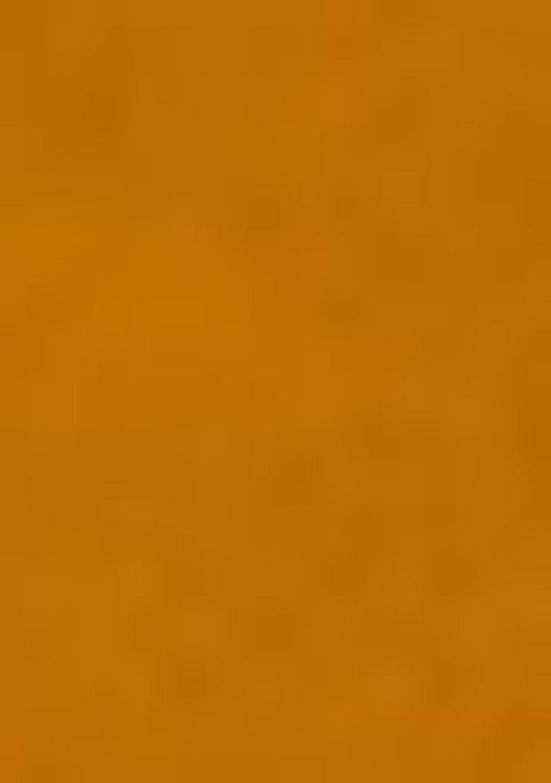 Yellow Sequin Thread Embroidered Butterfly Net Saree Set