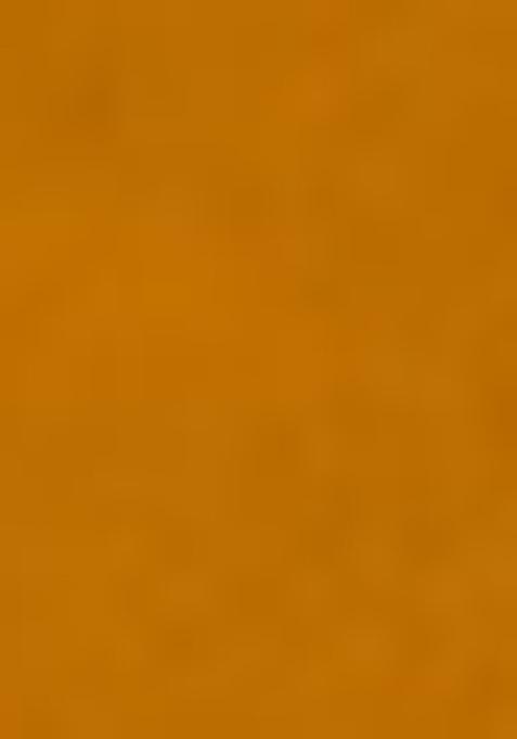 Yellow Sequin Thread Embroidered Butterfly Net Saree Set