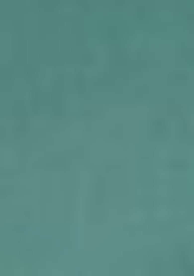Sea Green Sequin Thread Embroidered Satin Georgette Saree Set - Indya