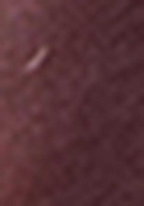 Multicolor Zari Woven Linen Saree Set