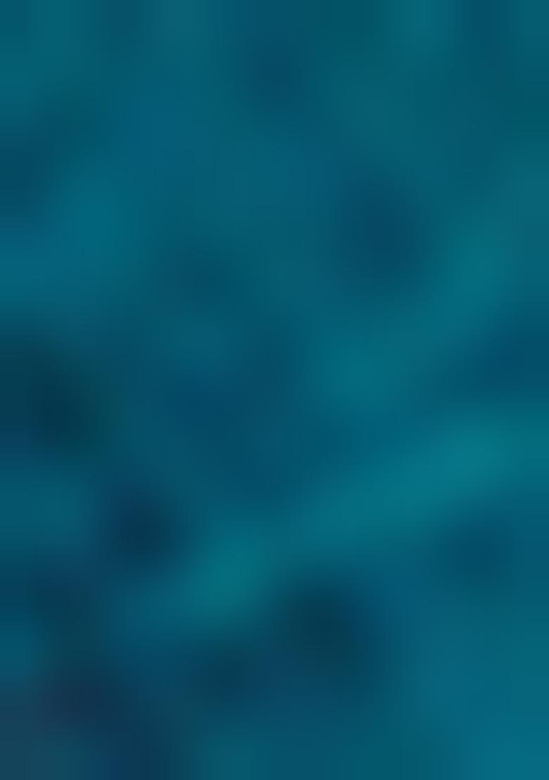 Multicolor Zari Woven Linen Saree Set