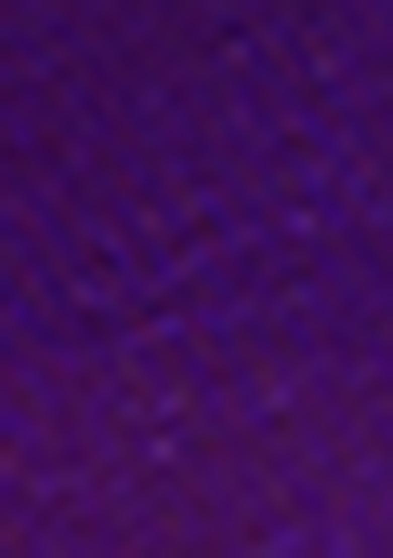 Wine Embroidered Vichitra Silk Saree Set