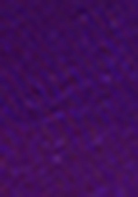 Wine Embroidered Vichitra Silk Saree Set