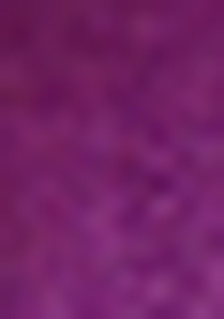 Violet Embroidered Vichitra Silk Saree Set