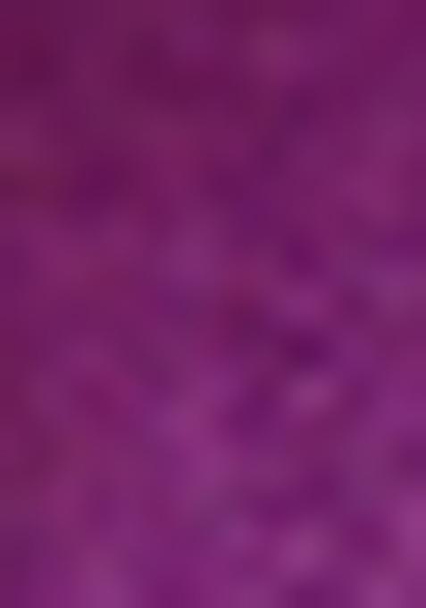 Violet Embroidered Vichitra Silk Saree Set