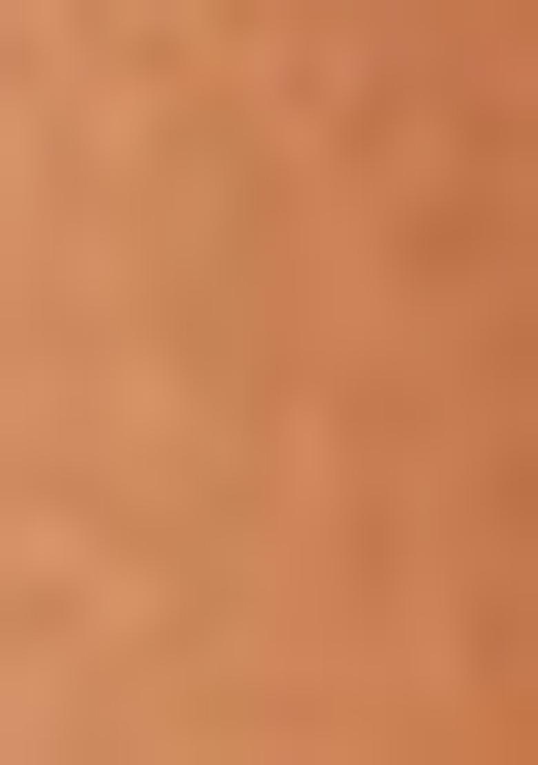 Orange Woven Jacquard Viscose Tissue Saree Set