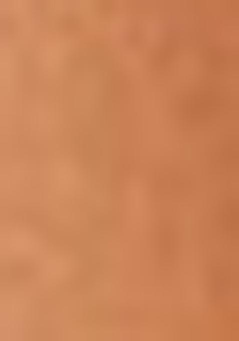 Orange Woven Jacquard Viscose Tissue Saree Set