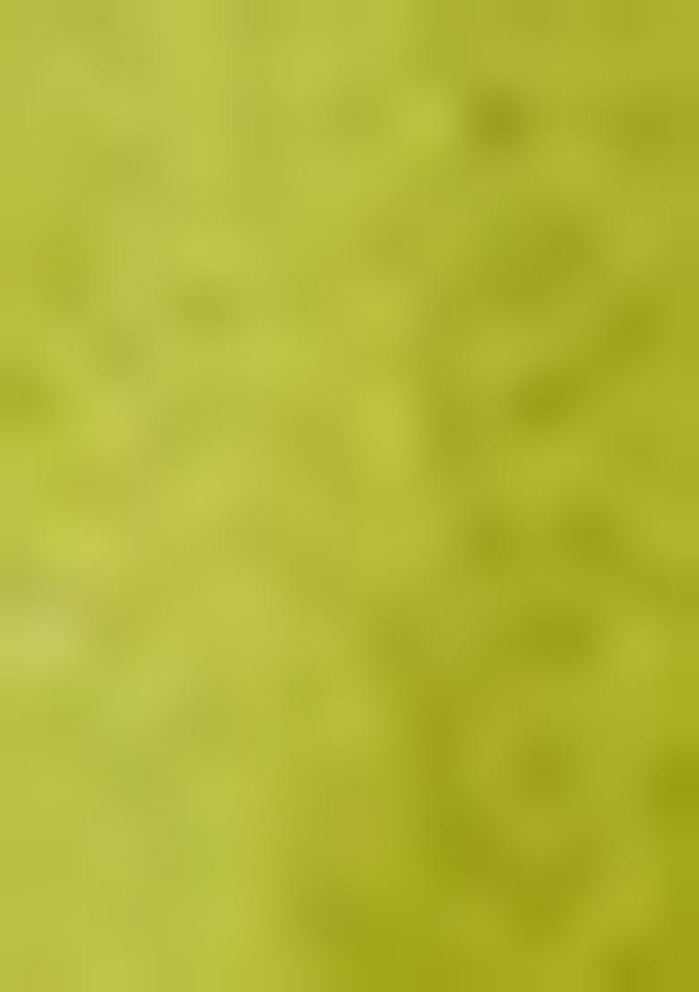 Green Woven Jacquard Viscose Tissue Saree Set