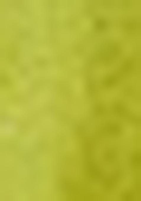 Green Woven Jacquard Viscose Tissue Saree Set