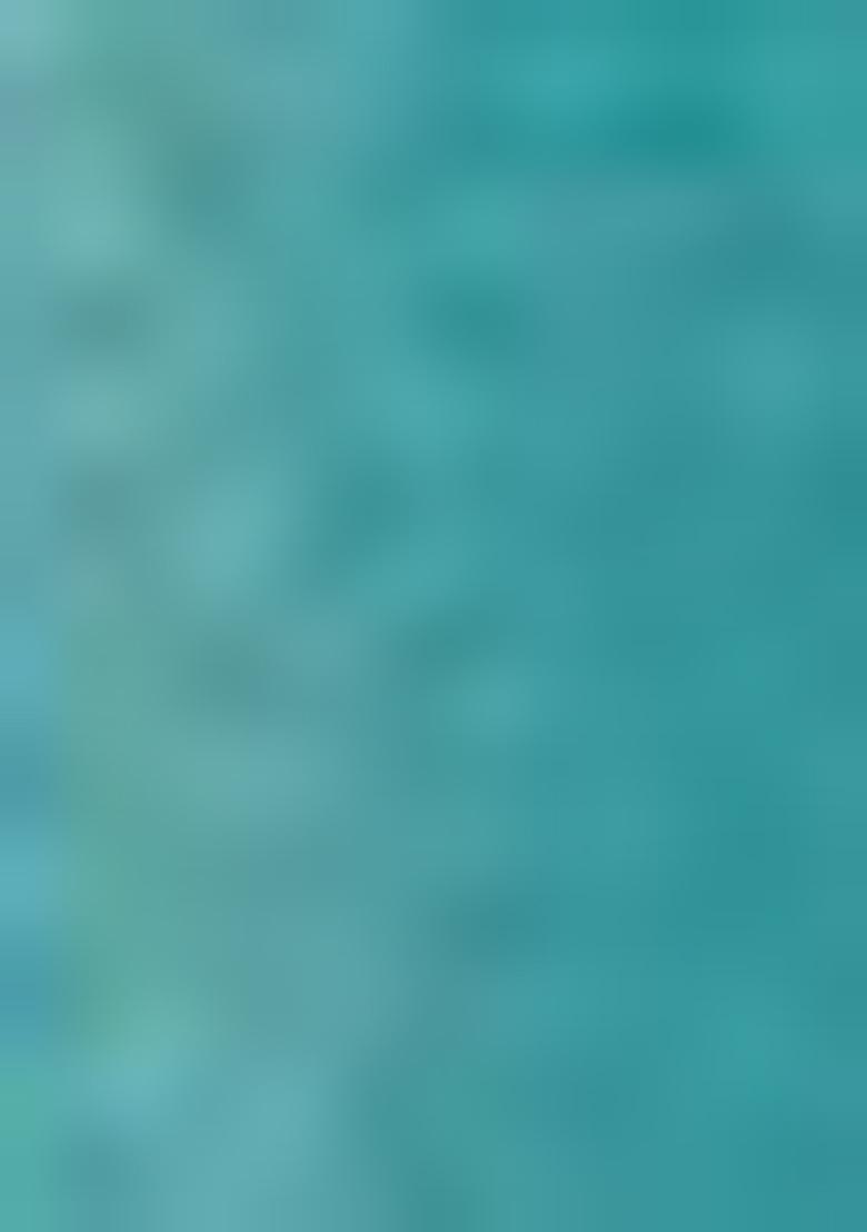 Rama Blue Woven Jacquard Viscose Tissue Saree Set