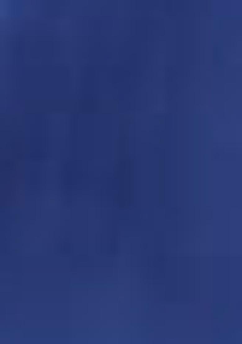 Blue Thread Embroidered Organza Silk Saree Set