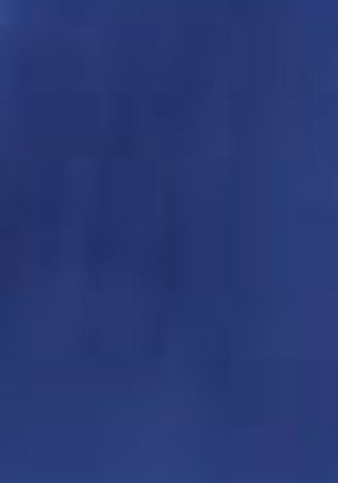 Blue Thread Embroidered Organza Silk Saree Set