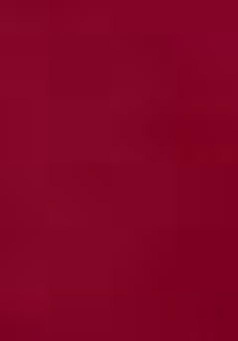 Red Thread Embroidered Organza Silk Saree Set