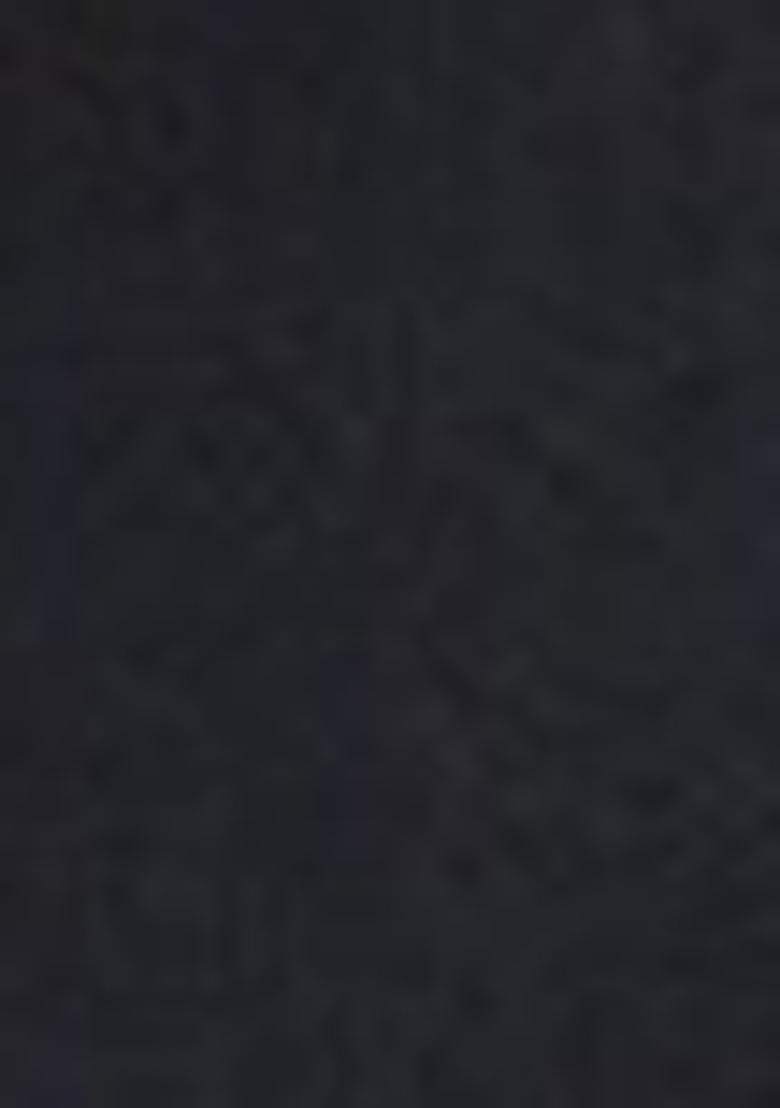 Black Thread Embroidered Organza Silk Saree Set