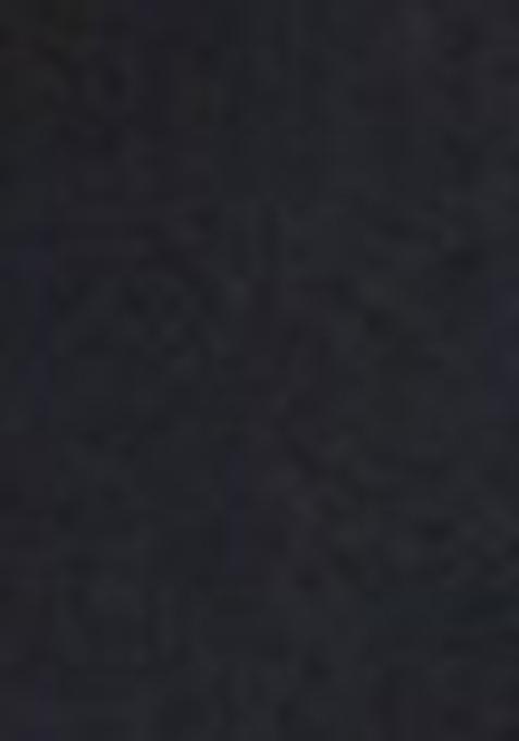 Black Thread Embroidered Organza Silk Saree Set