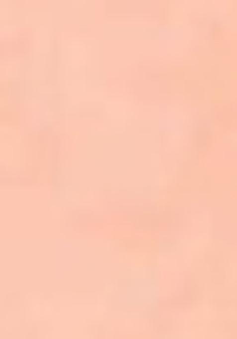 Orange Zari Woven Organza Silk Saree Set