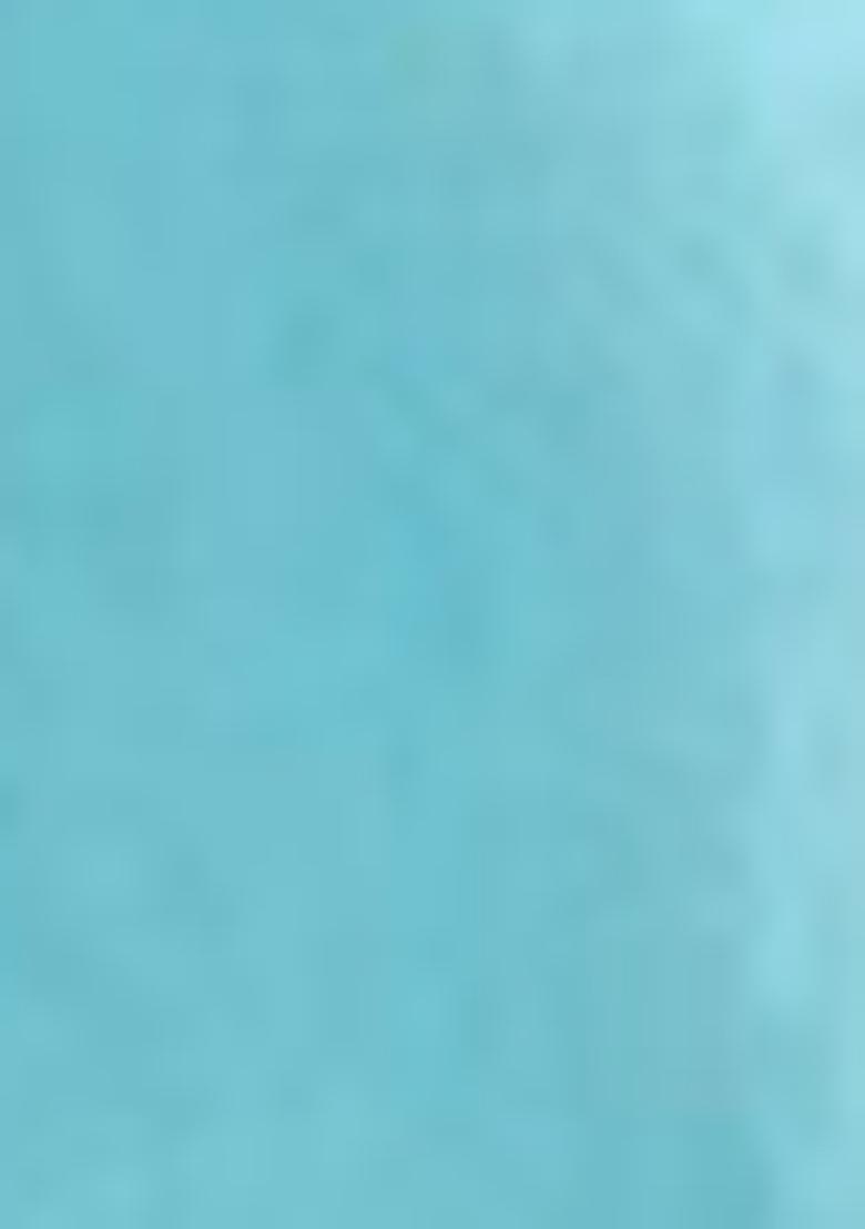 Blue Zari Sequin Embroidered Tissue Silk Saree Set