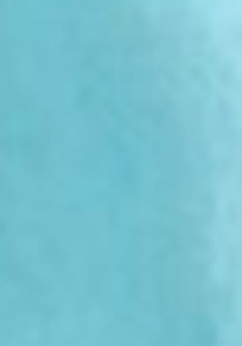 Blue Zari Sequin Embroidered Tissue Silk Saree Set