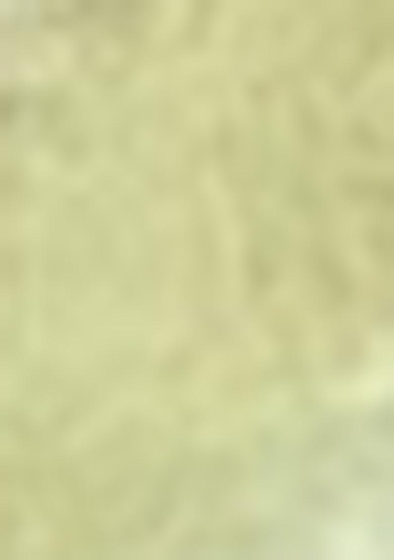 Green Zari Sequin Embroidered Tissue Silk Saree Set