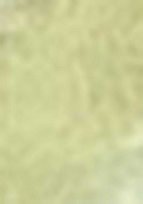 Green Zari Sequin Embroidered Tissue Silk Saree Set