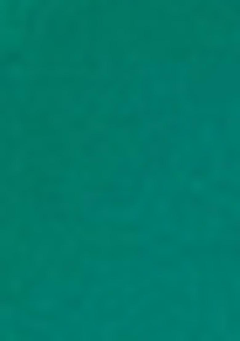 Sea Green Meenakari Woven Soft Silk Saree Set