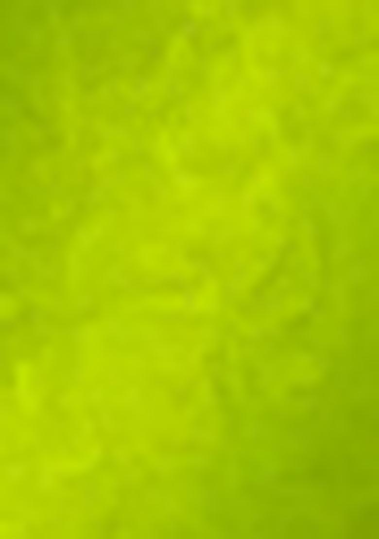 Parrot Green Meenakari Woven Soft Silk Saree Set