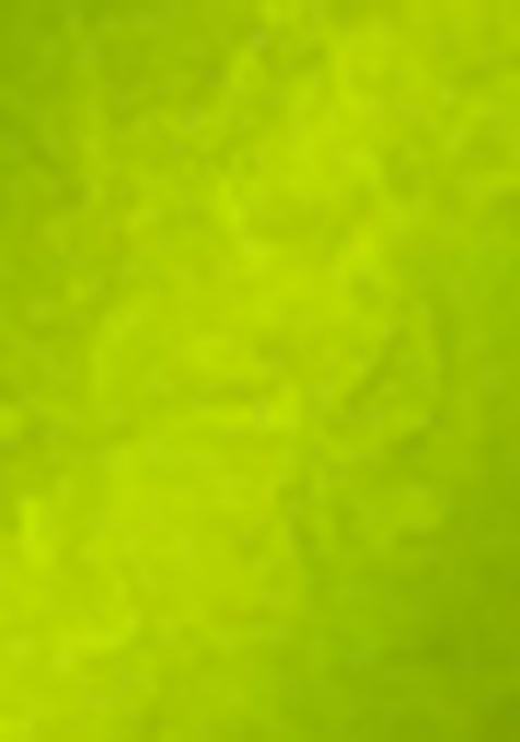 Parrot Green Meenakari Woven Soft Silk Saree Set