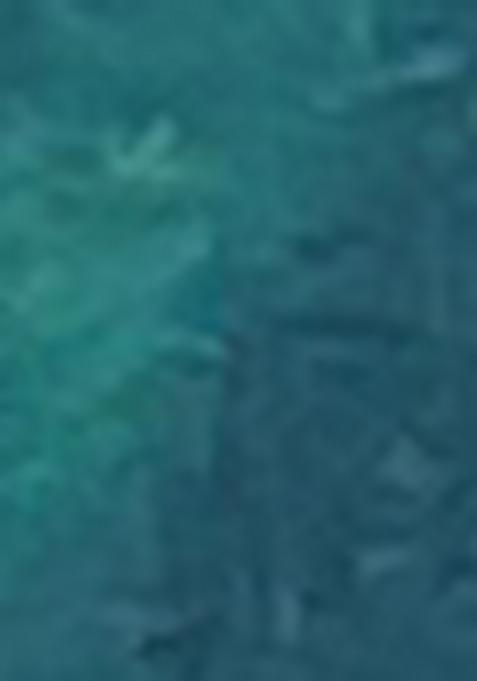 Teal Blue Meenakari Woven Soft Silk Saree Set