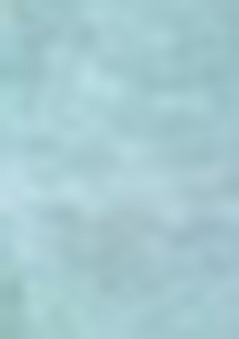 Blue Zari Thread Embroidered Tissue Silk Saree Set