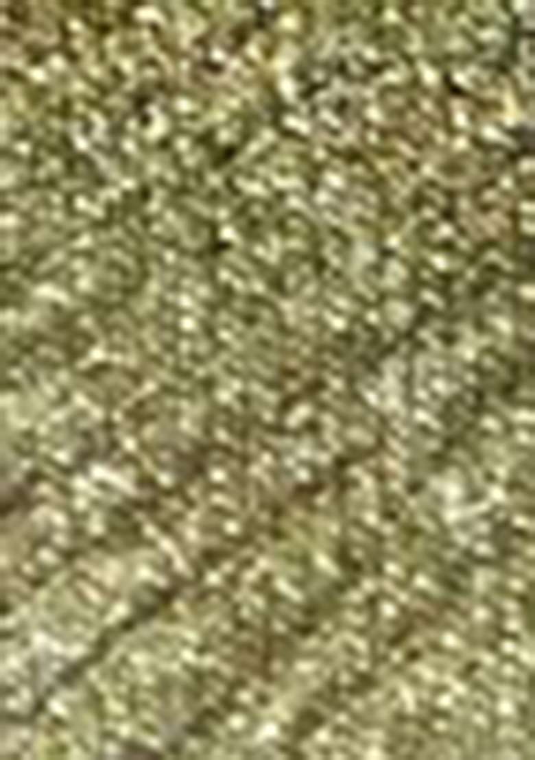 Green Sequin Embroidered Tissue Saree Set - Indya