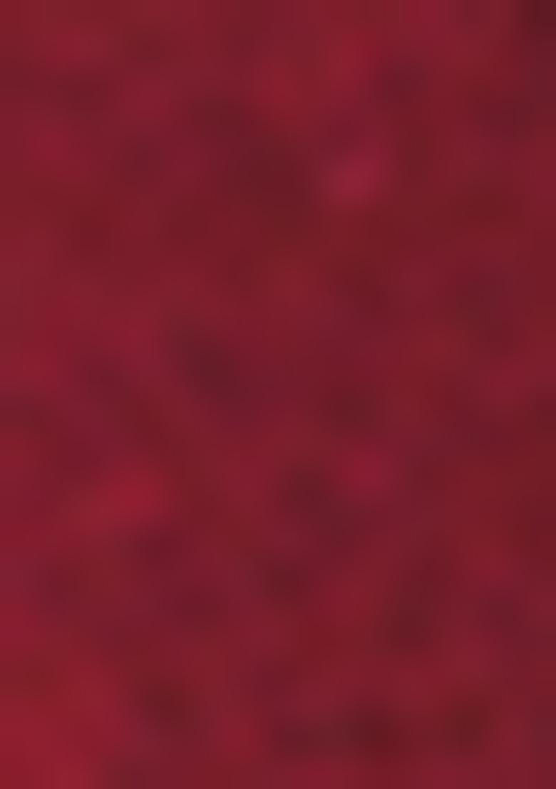 Maroon Zari Thread Embroidered Dola Silk Saree Set